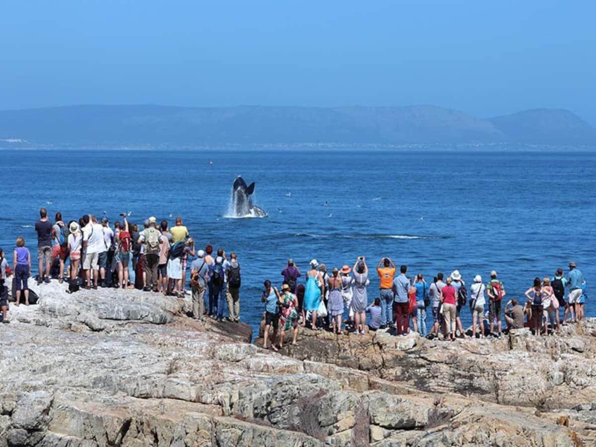 Hermanus Waterfront Apartment Quarto foto